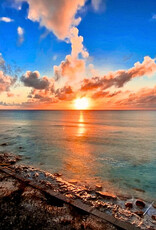 Force-E Scuba Centers San Salvador Riding Rock Trip 7/11-7/18 2026