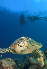 Force-E Ultimate Thailand above and below  D/O 12/9-12/21 2026