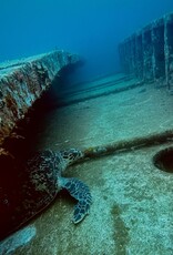 Force-E Grenada Wreck Trip 8/14-8/21 2027