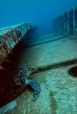 Force-E Grenada Wreck Trip 8/15-8/22 2026