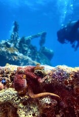 Force-E Grenada Wreck Trip 8/15-8/22 2026