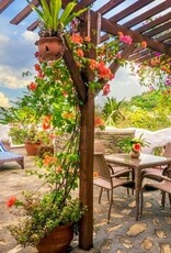 Force-E Scuba Centers Pristine  Philippines   Adventure  Combo