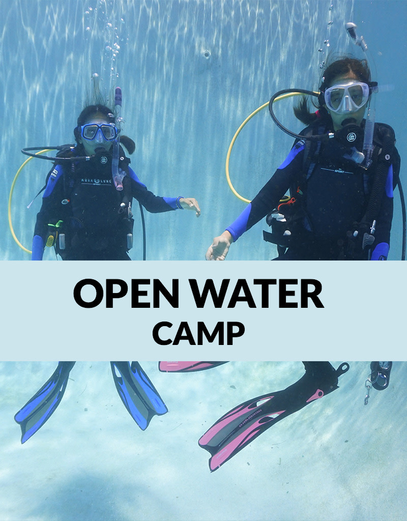 Force-E Scuba Centers Open Water Scuba Camp- Jupiter