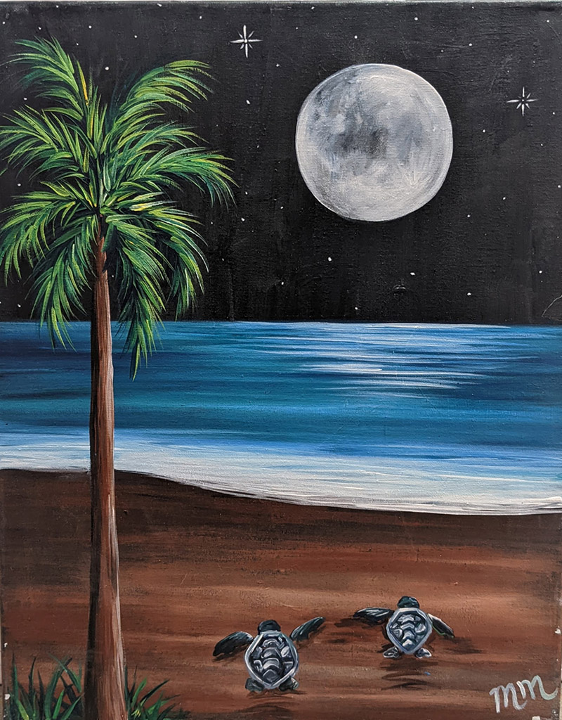 Force-E Scuba Centers Moonlight Baby Sea Turtle Paint Night