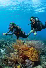 Force-E Scuba Centers Perfect Buoyancy Course