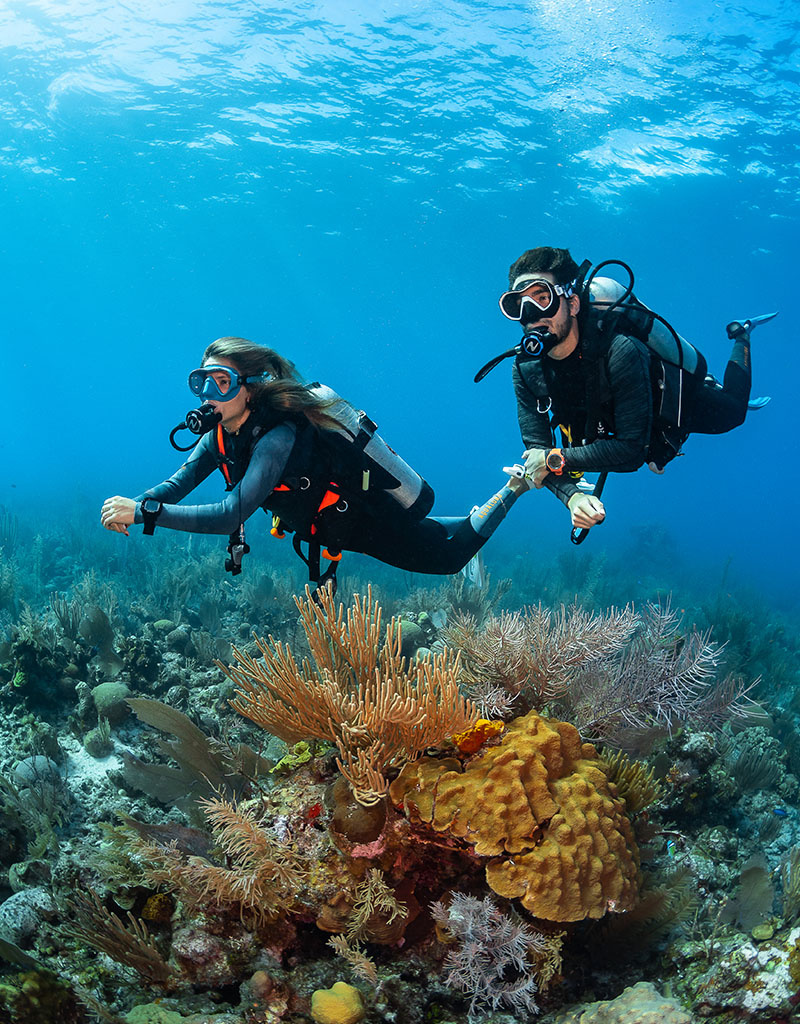 Force-E Scuba Centers Perfect Buoyancy Course