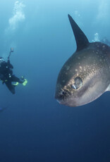 Force-E Scuba Centers Galapagos Liveaboard Adventure