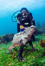 Force-E Scuba Centers Galapagos Liveaboard Adventure