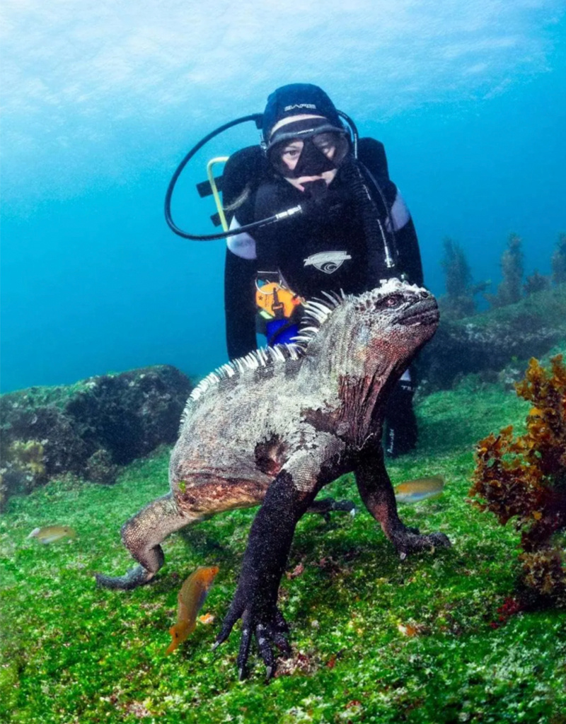 Force-E Scuba Centers Galapagos Liveaboard Adventure
