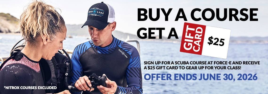 Buy Course Get $25