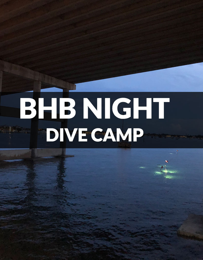 Force-E Scuba Centers Certified Diver BHB Night Dive Camp