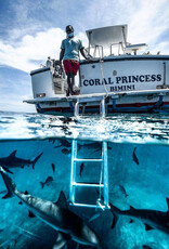 Force-E Scuba Centers Bimini Weekend Warrior Hammerhead Trip