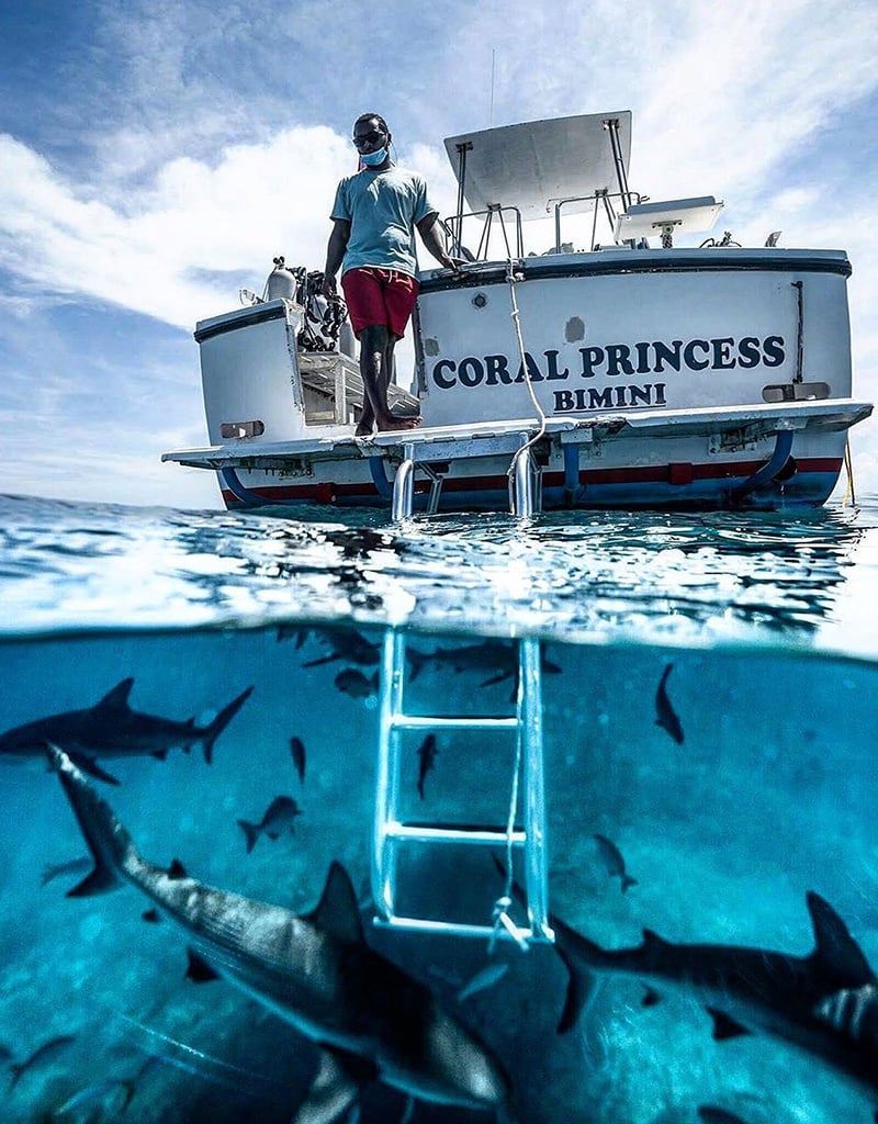 Force-E Scuba Centers Bimini Weekend Warrior Hammerhead Trip