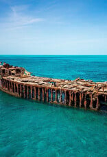 Force-E Scuba Centers Bimini Weekend Warrior Hammerhead Trip