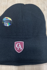 LogoFit Logofit SouthPole adult knit hat with fleece lining