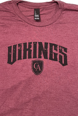 District District Adult Distressed Vikings Tee