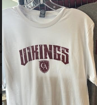 District District Adult Distressed Vikings Tee