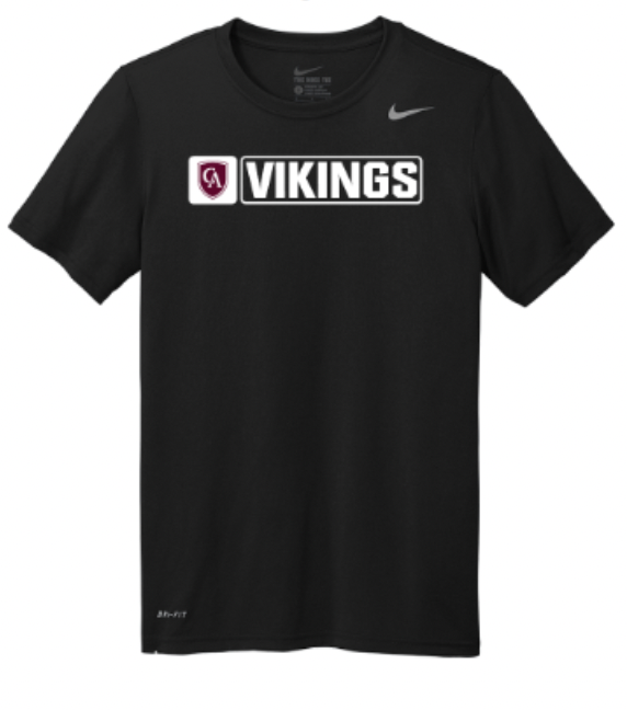 Nike Adult Nike Legend Tee '25