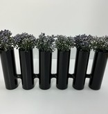 6 Black Tube Vase with Purple Sedum