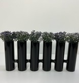 6 Black Tube Vase with Purple Sedum