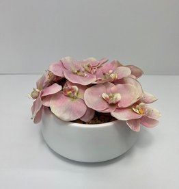 Pink Orchid Arrangement in White SM Round Vase