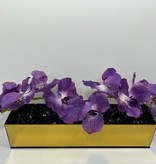 18" Gold Mirror Vase with Arched Purple Vanda Orchids
