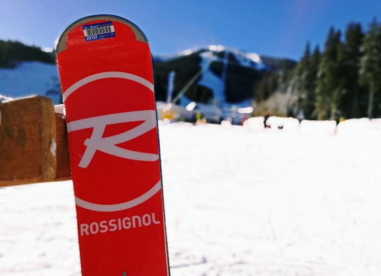 Rossignol