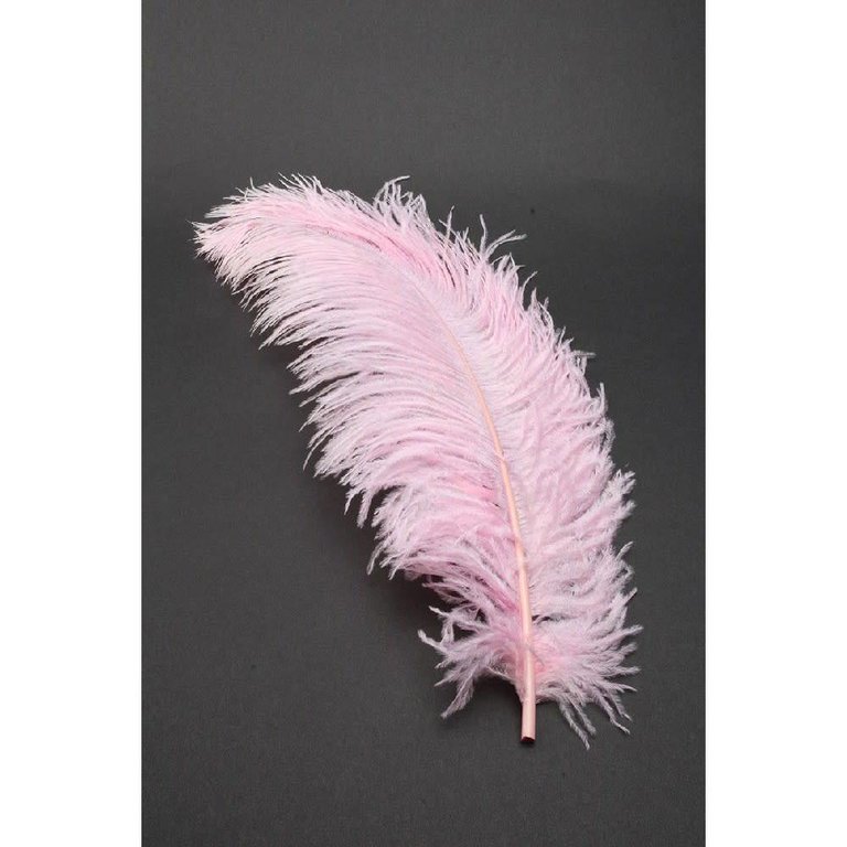 Deluxe Plumes Large 18-28" Ostrich Feathers Assorted