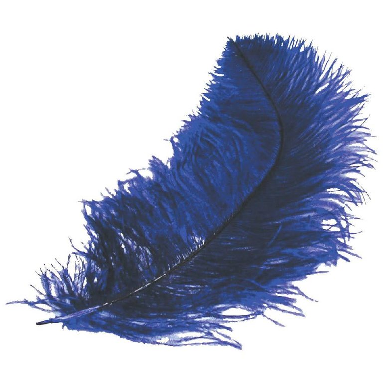 Deluxe Plumes Large 18-28" Ostrich Feathers Assorted