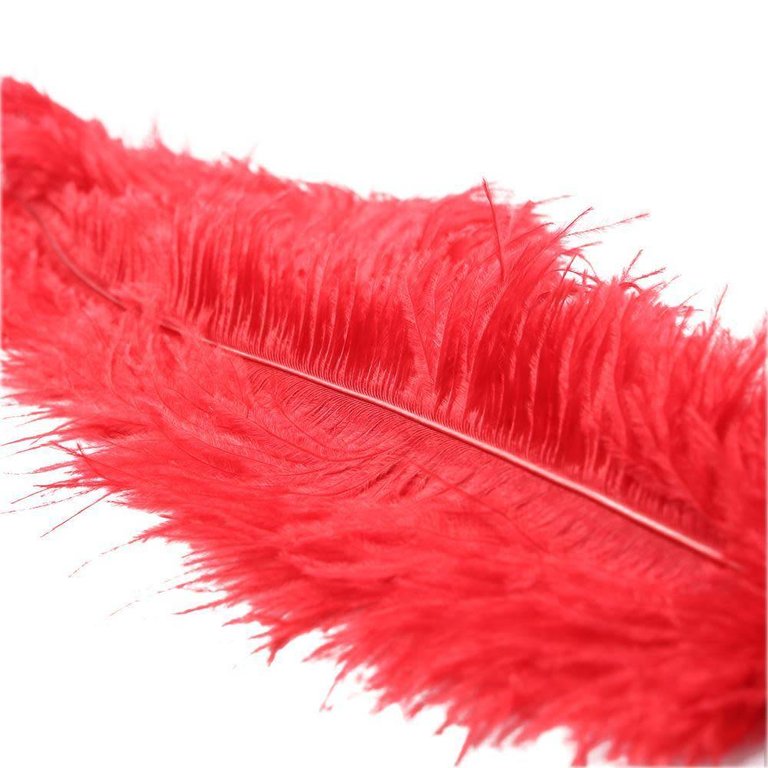 Sportsheets Ostrich Feather Red Tickler