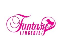 Fantasy Lingerie