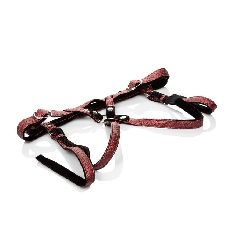 CalExotic Regal Duchess Royal Harness - Red