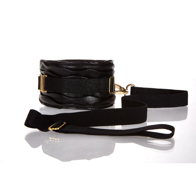 Allure Forever Collar and Leash