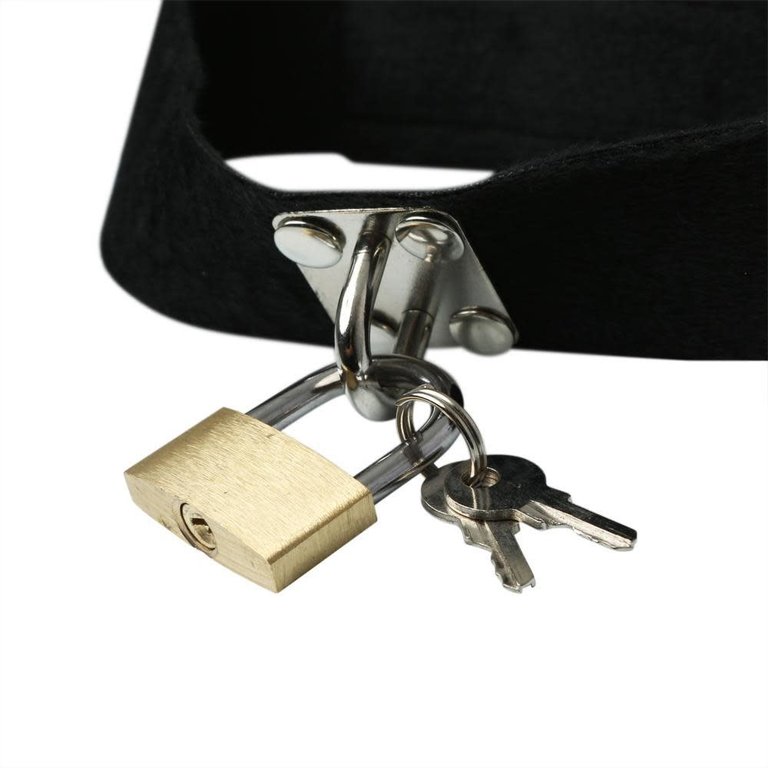 Sportsheets Lock and Key Collar