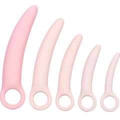 Products tagged with dilator