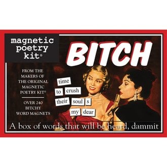 Magnetic Poetry Kit: Mansplain Edition - Groove