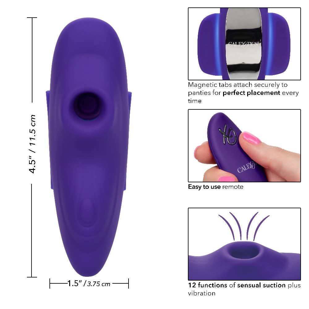 Lock-N-Play Remote Suction Panty Teaser - Groove