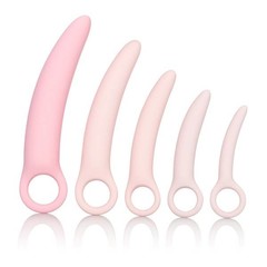 Products tagged with dilator