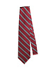 EE Dee Trim Red / Navy / White Striped Tie (48 inch)
