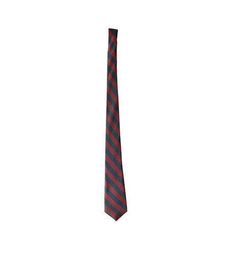 EE Dee Trim Navy & Wine Striped Tie #FBE229-Grade 6-8