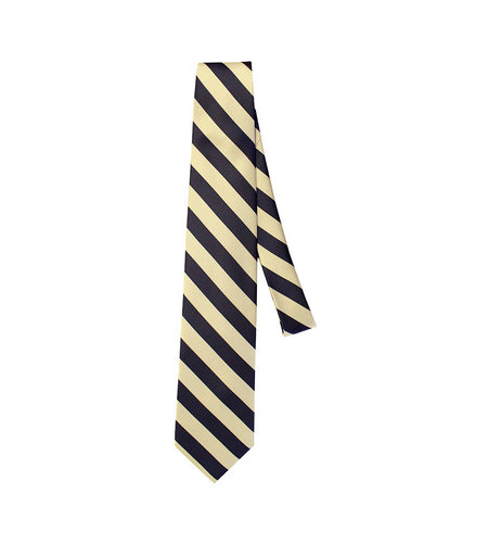 EE Dee Trim Navy & Silver Striped 4-in-Hand Tie #FBE229