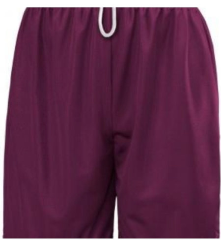 School Apparel Wine Mesh Athletic Shorts #6212-00
