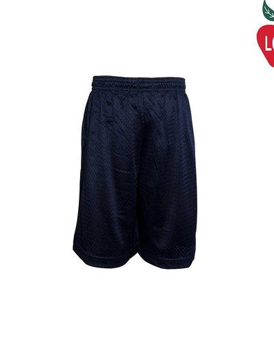 navy blue champion shorts