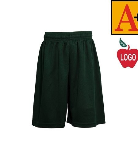 Heat Pressed 6212 Green Mesh Shorts With Logo