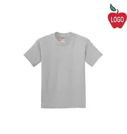 Preschool T-Shirt in Grey #2000