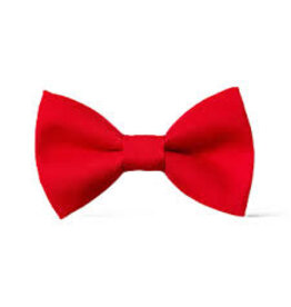 Red Pre-Tied Bow Tie #FBE41BV Grades TK-K