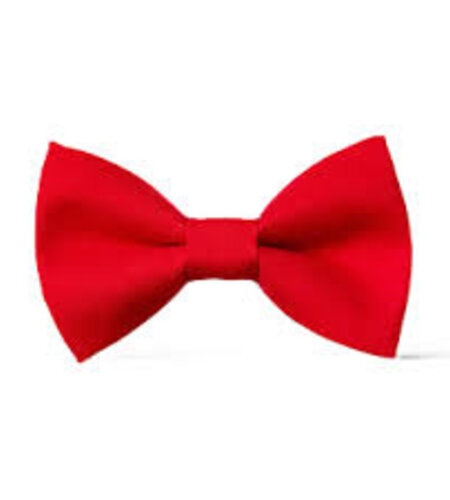 Red Pre-Tied Bow Tie #FBE41BV Grades TK-K