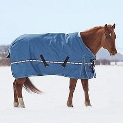 Products tagged with blankets