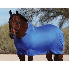 Sleazy Sleep Wear for Horses