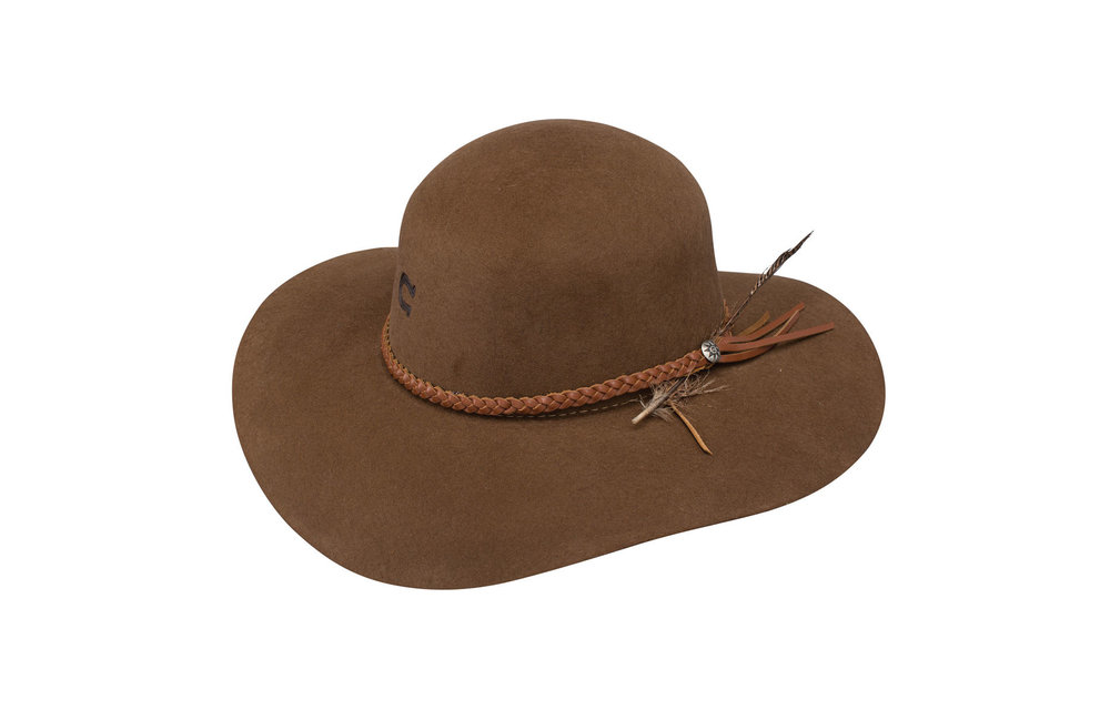 Charlie 1 horse wanderlust shop
